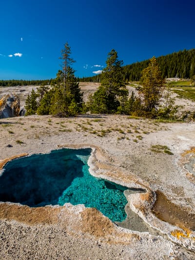 hot thermal spring in yellowstone